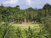 Villa Ria Sayan, View to the Valley
